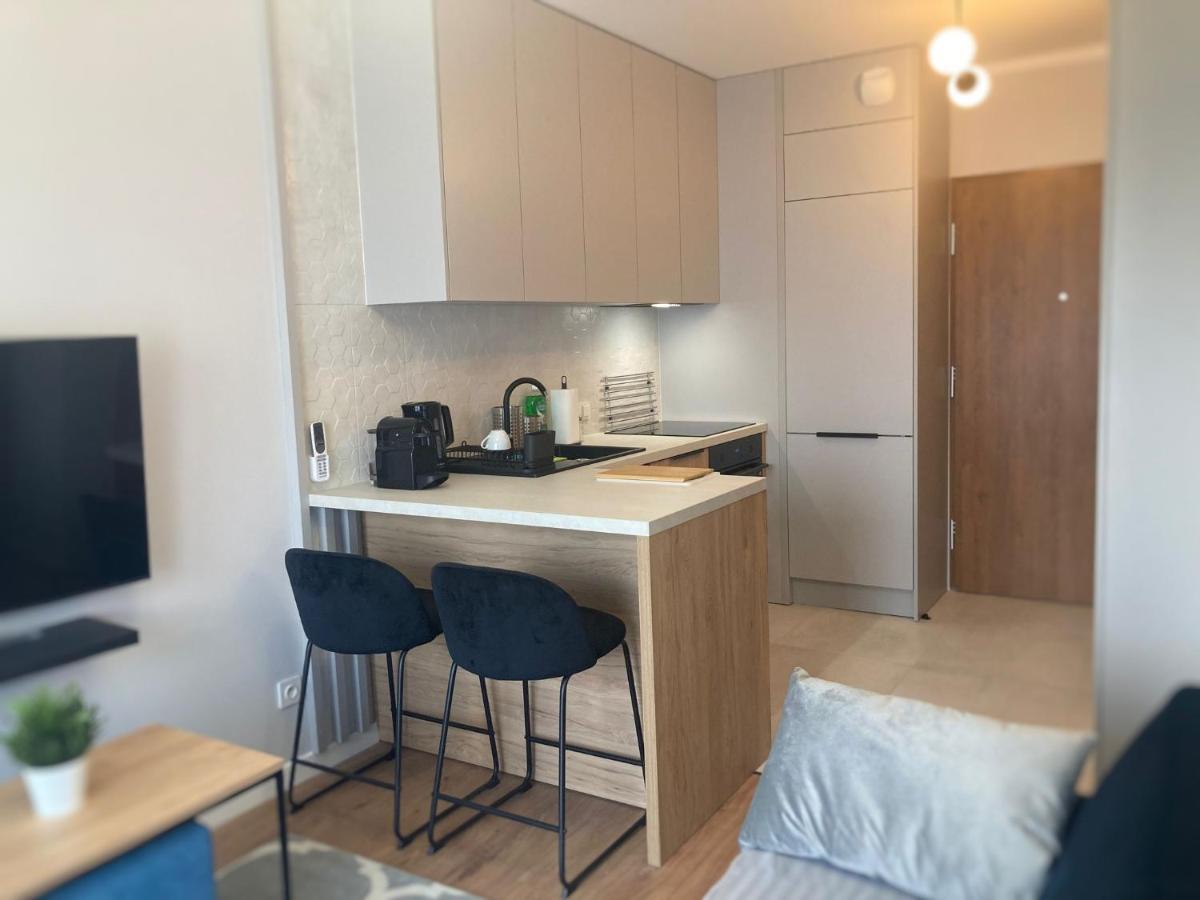 Ceglana Park 72 Studio Катовице Экстерьер фото